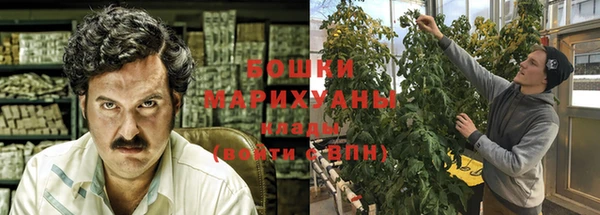 гидра Алексеевка