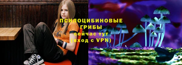 дживик Абинск